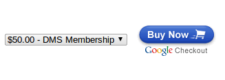 Google checkout button.png