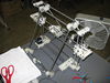 Mendel-201105-08.jpg