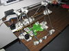 Mendel-201105-09.jpg
