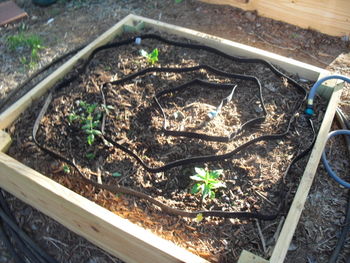 Sqftgarden5.JPG