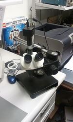 2012-03-22 19.16.45.jpg