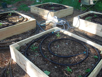 Sqftgarden7.JPG