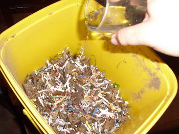Wormbin5.JPG