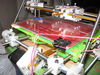 Mendel-201105-16.jpg
